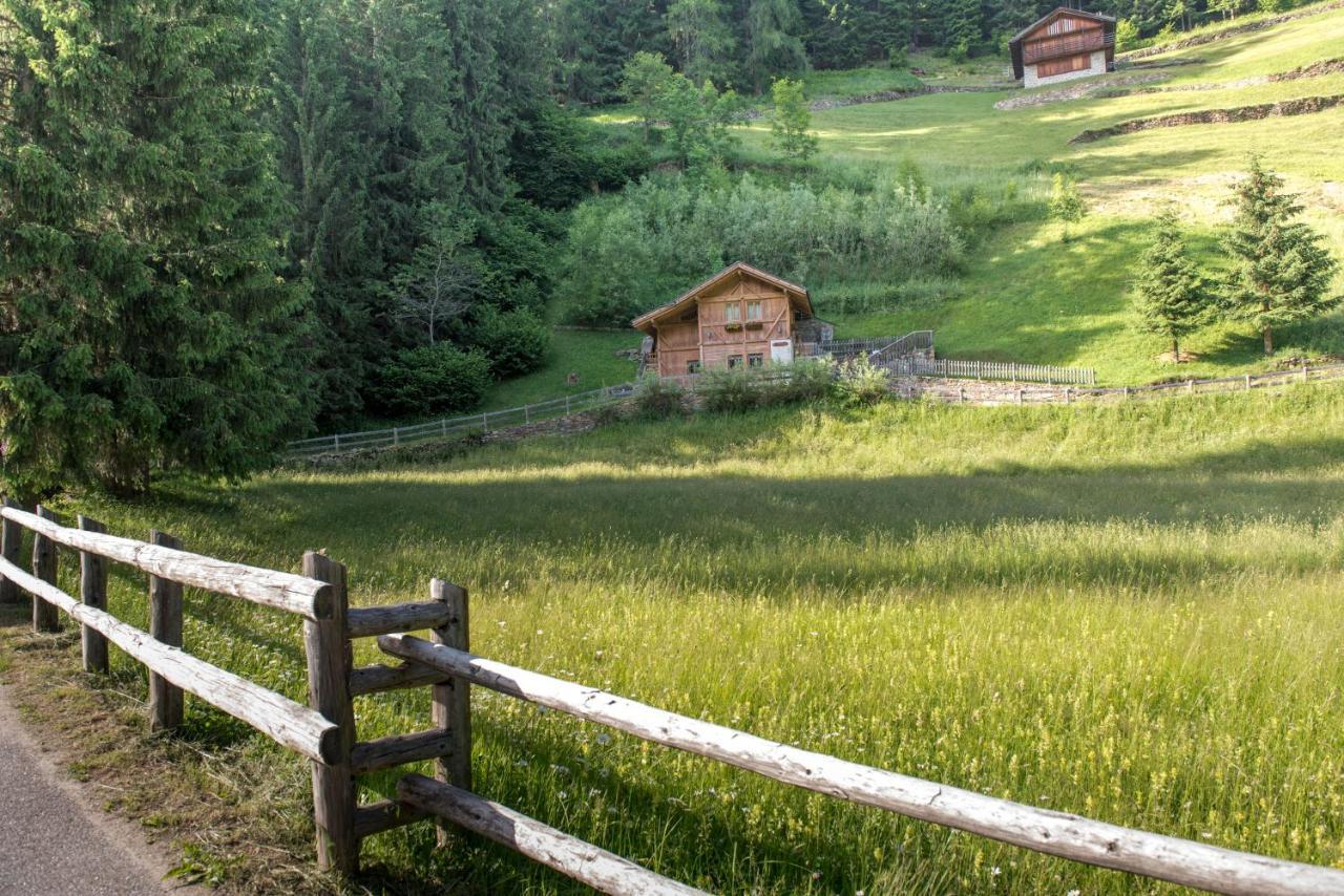 Chalet Bambi Villa Rabbi Exterior photo